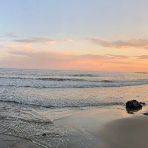 Meet your Posher, Hahdjsjjfjs